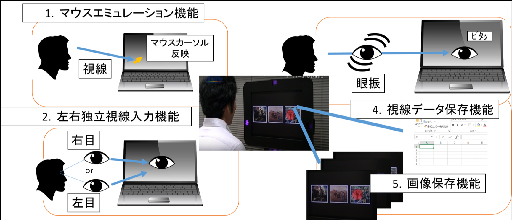 ラナンキュラス